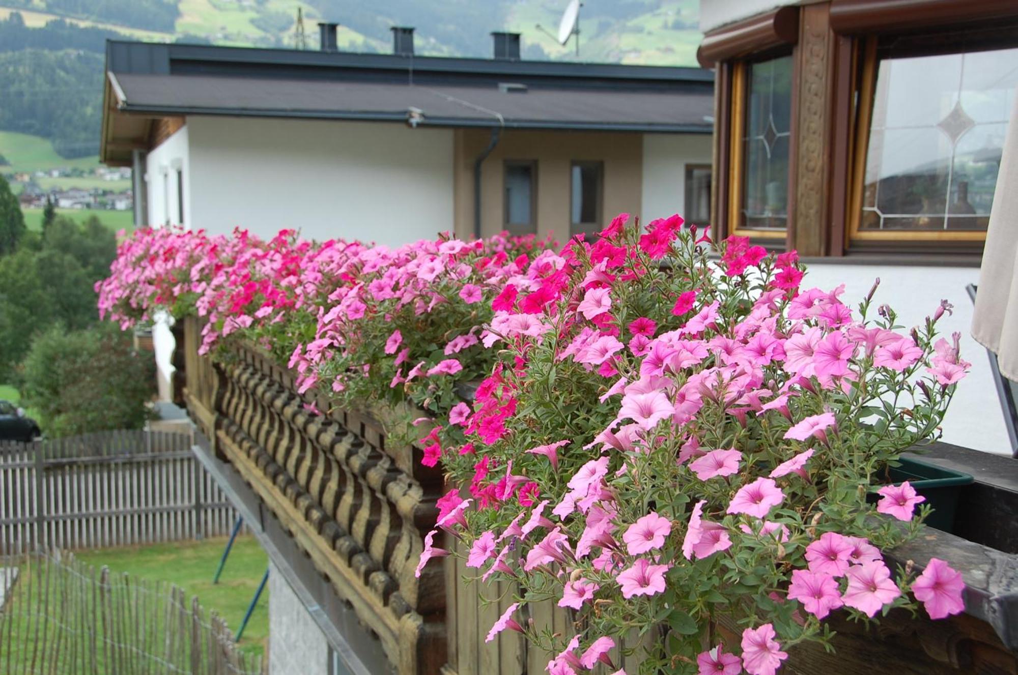 Haus Hart Im Zillertal 6 Personen Vila Exterior foto
